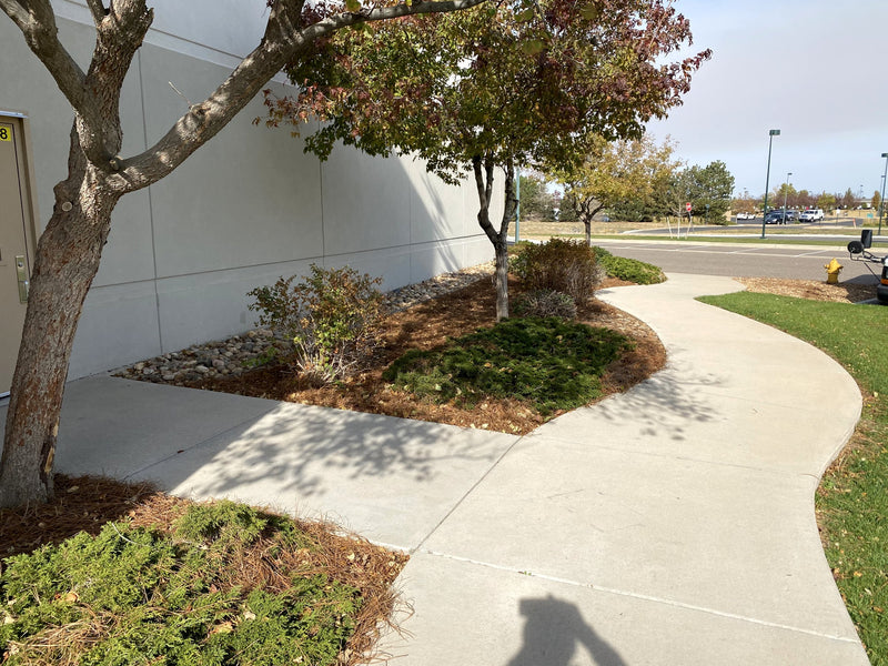 Curved walkway beds