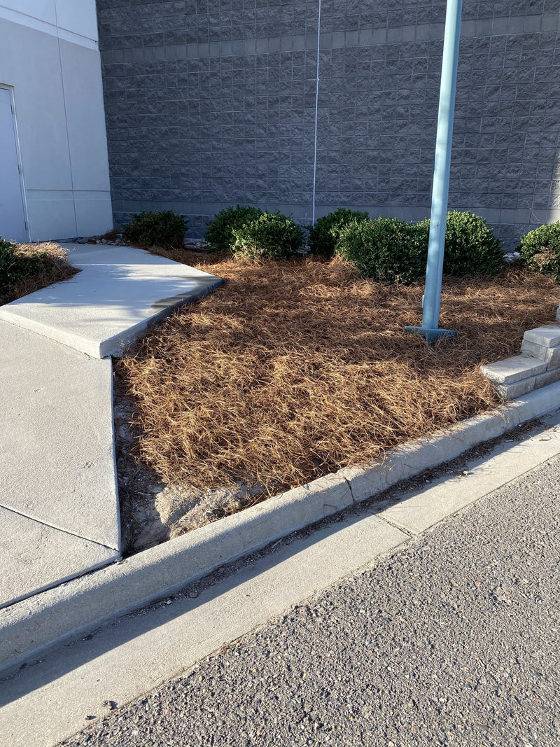 Flagpole bed after installation