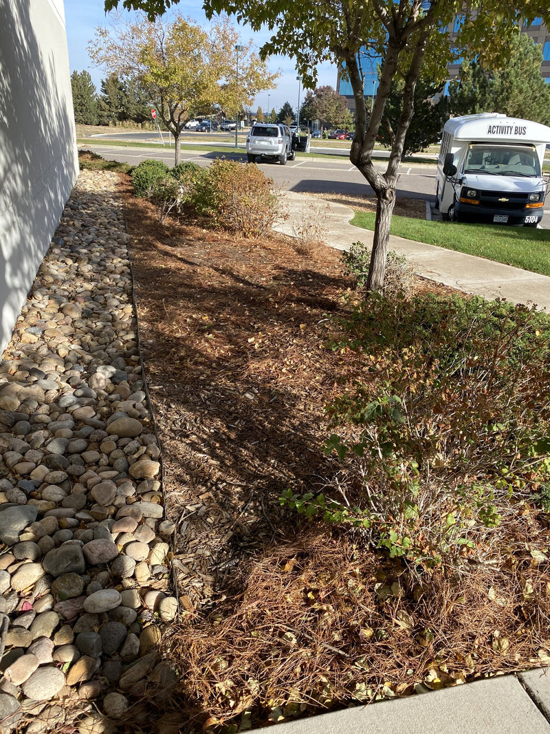 Rock border meeting fresh straw