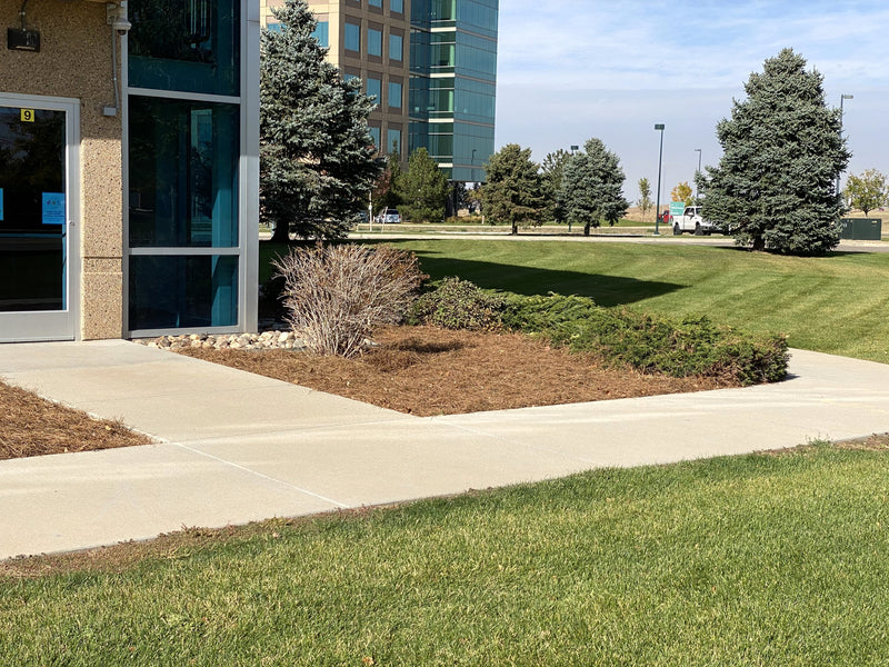 Entry walk, both sides covered