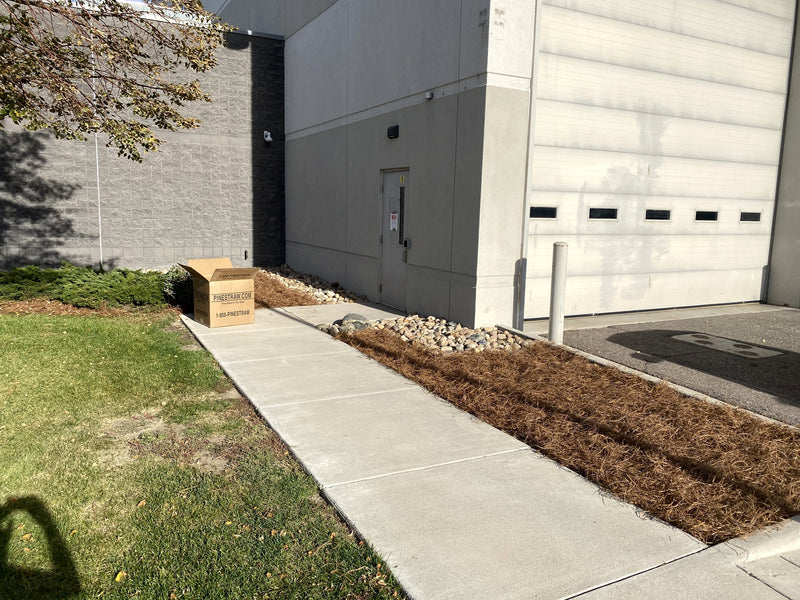 Corner strip along the sidewalk