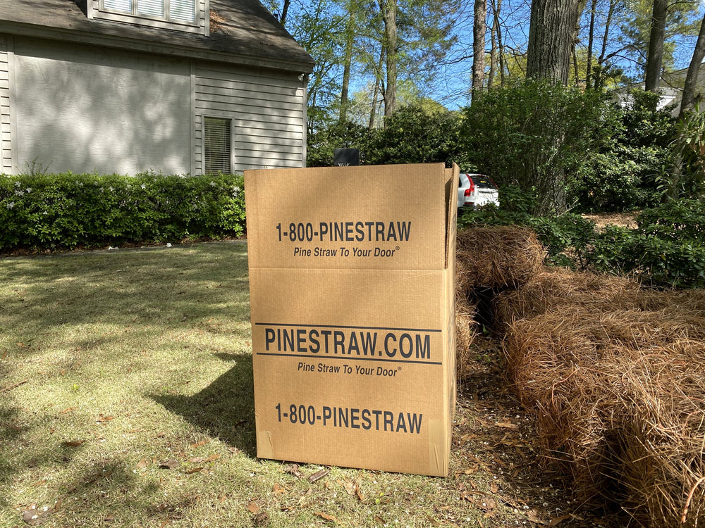 A box on the lawn, right where the work starts