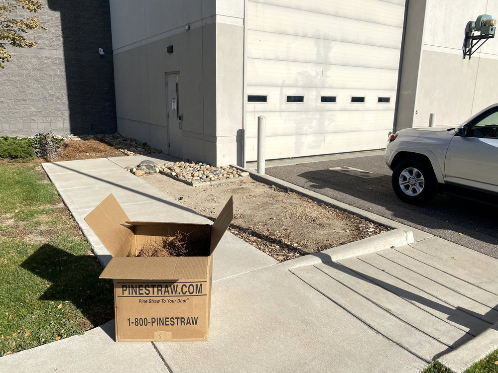 Staged and ready — the bed before the straw
