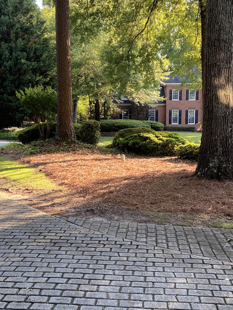 Brick estate drive lined with fresh pine straw