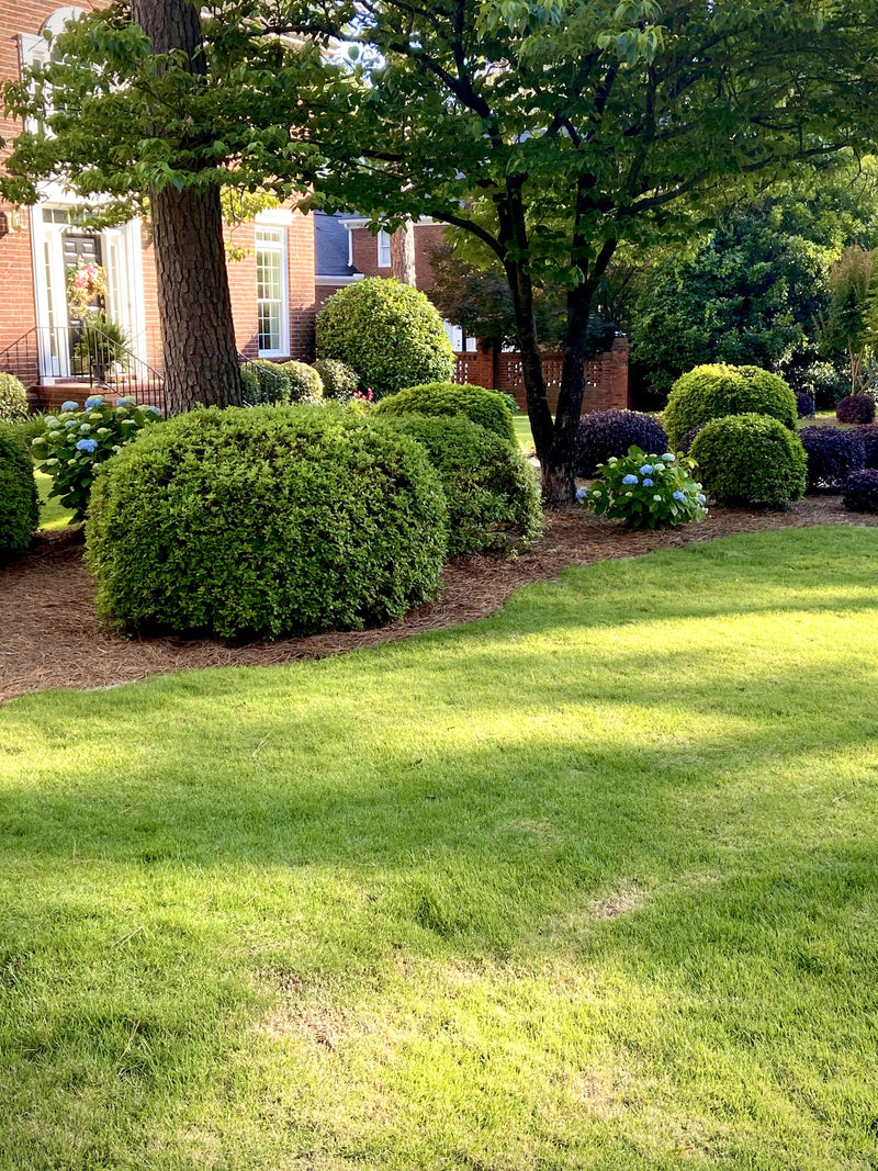 Corner estate beds with clean edges