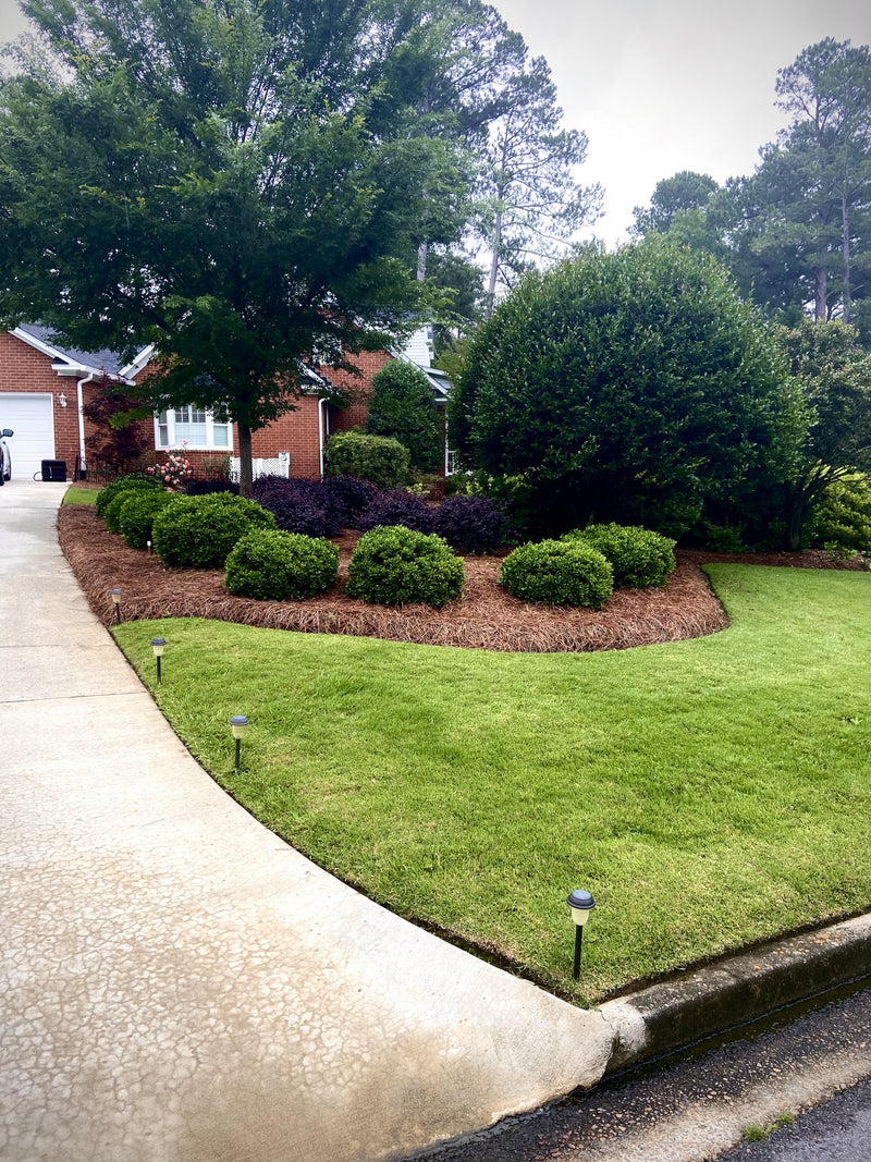 Estate driveway beds, freshly dressed