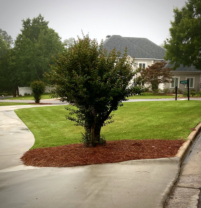 Crape myrtle island ring