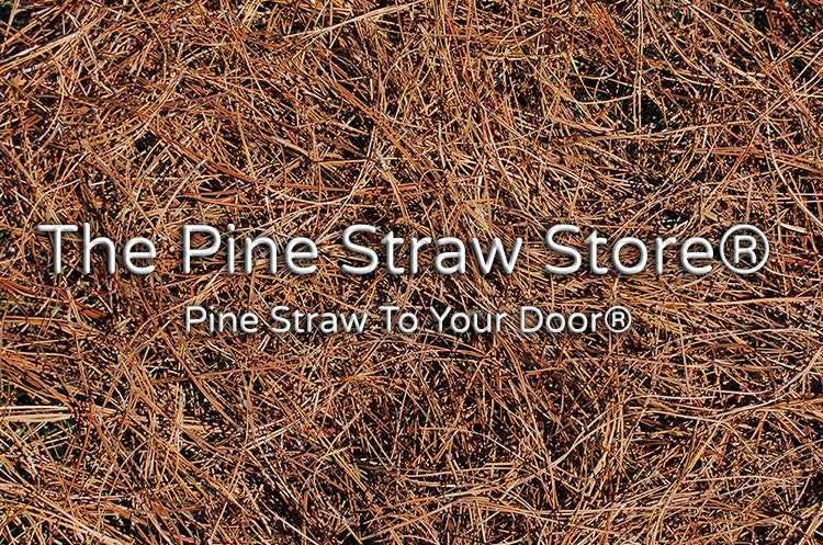 FloraCraft Barley Straw (up to 35-sq ft Coverage) in the Pine Needles &  Straw Mulch department at